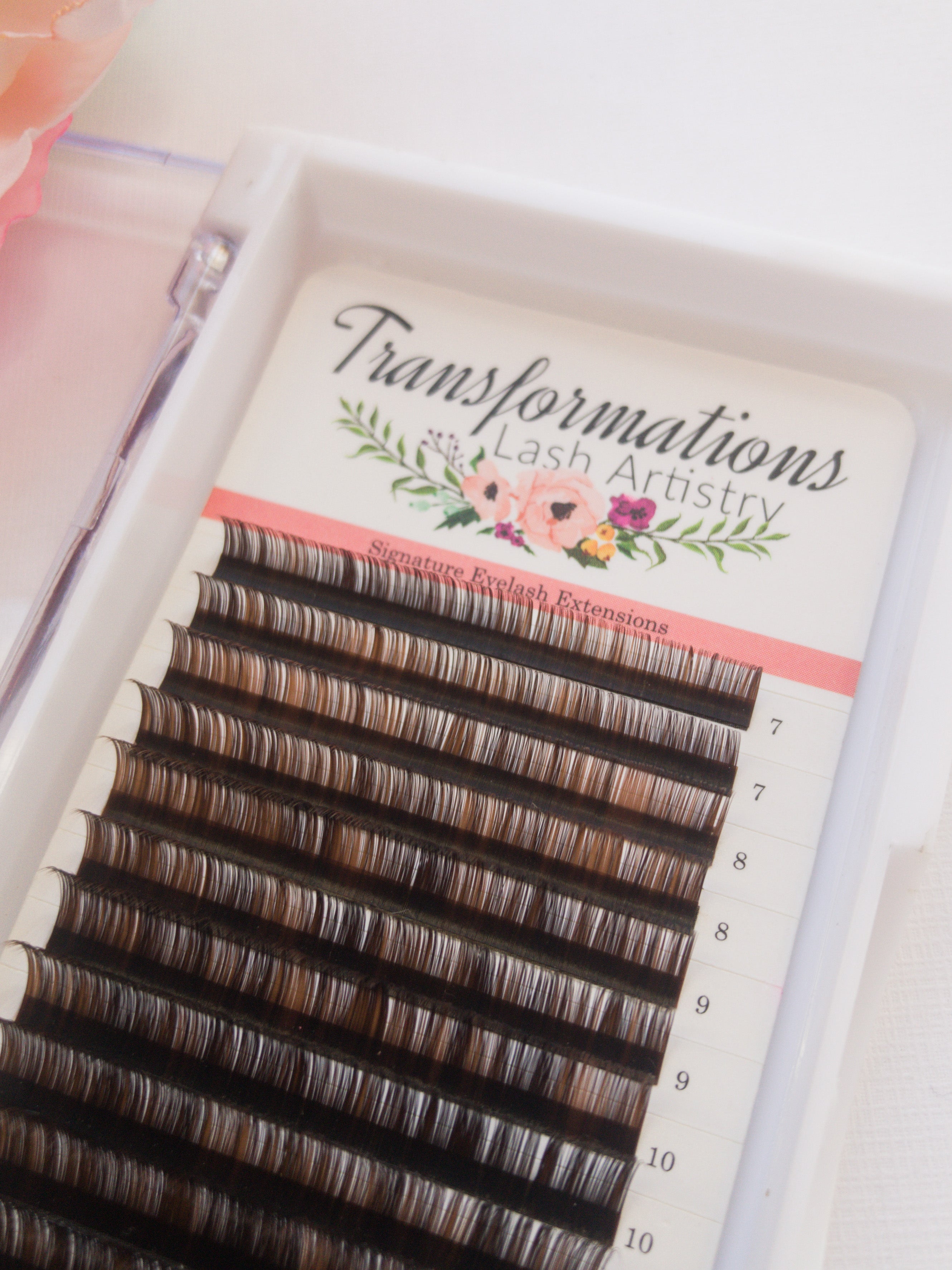 Black/Brown Single Sizes Lashes | Transformations Lash Artistry