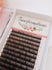 Black/Brown Single Sizes Lashes | Transformations Lash Artistry